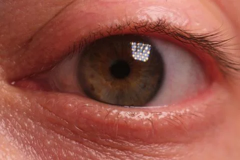 Man's left eye in a relaxed state. Stock Photos