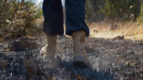Man's legs walking in the place of an extinct forest fire Stock Footage 128874251