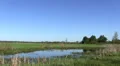 Man's rest. On fishing. HD Footage