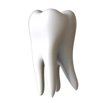 A man's root tooth on a white background. Isolate. Foto stock