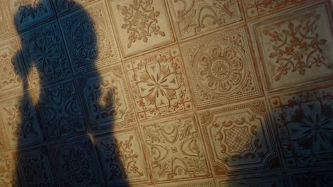 A man's shadow with a beard and long hair on a patterned wall Stock Footage 166163632