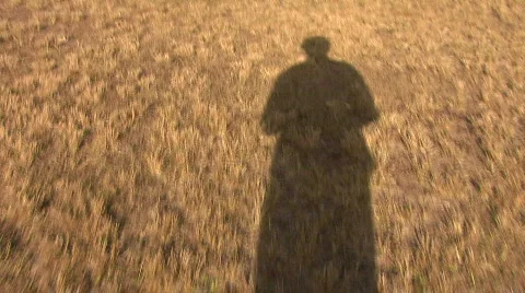 Man's Shadow On Brown Grass Stock Footage 293852