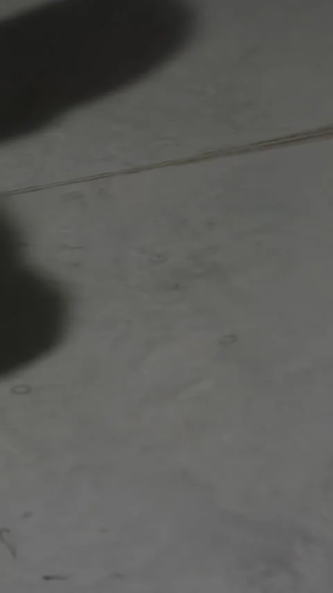 Man's shadow training and boxing. Shadow of the boxer man boxing on the wall Stock Footage 278208205