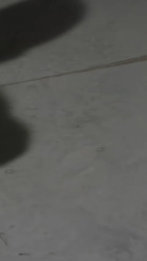 Man's shadow training and boxing. Shadow of the boxer man boxing on the wall Stock Footage 281580840