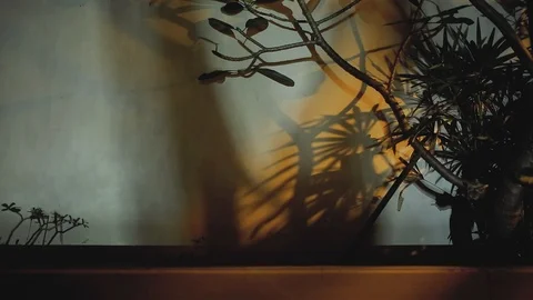 Mans shadows art dance game on the wall Stock Footage 106337298