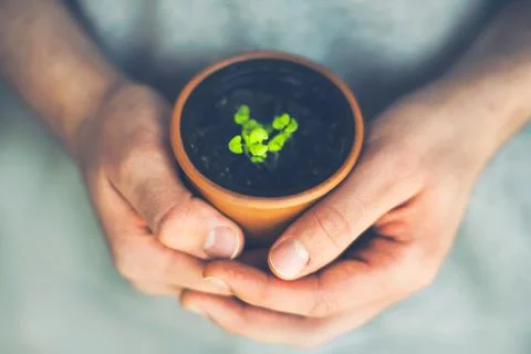 Man's strong hands hold a small clay pot in which the sprout of a young plant Stock Photos