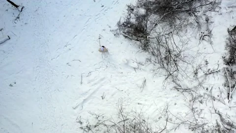 Man's view of the forest 動画素材 169859273