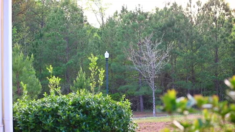 Mansion Backyard Porch Stock Footage 273249043