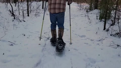 ManSnowShoeing Stock Footage 296357890
