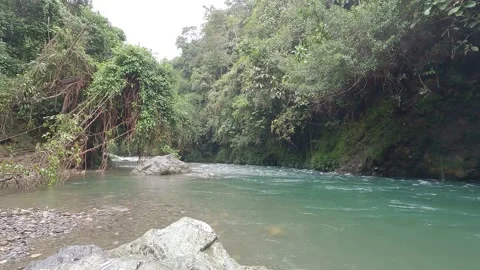 Manso river, Colombia Stock Footage 223258183
