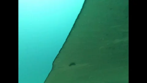 Manta Ray Encounter Vídeos de archivo 323591116