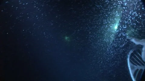 Manta Ray Night Dive Stock Footage 5263581