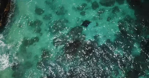 Manta Ray by the Rocks Drone Shot Stock Footage 106788017