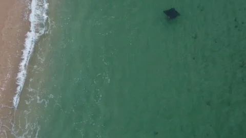 A Manta Ray Swimming Near the Shore of Los Cabos, Mexico Vídeos de archivo 279018853
