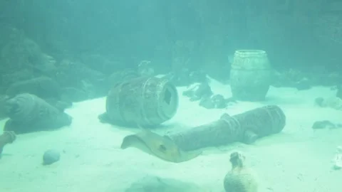 Manta is a species of stingrays of the genus of the same name of the family of 스톡 동영상 245932596