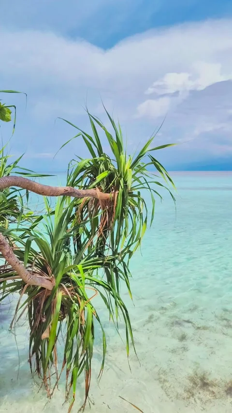 Mantigue Island in Camiguin, Philippines. Stock Footage 273263941