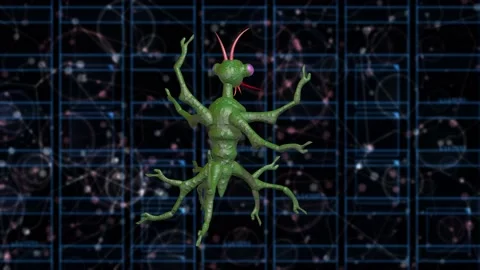Mantis alien rotates on star map background .3d  animation render Stock Footage 149094162