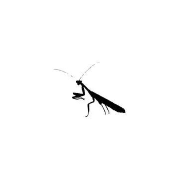 Mantis icon. Simple style insect science poster background symbol. Mantis b.. Stock Illustration