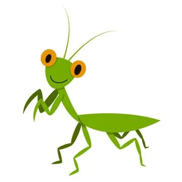 Mantis, Mantodea grasshopper in flat style, vector Stock Illustration
