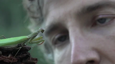 Mantis playing with giant Video stock 171470916