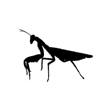 Mantis silhouette Stock Illustration