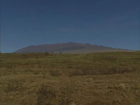 Manua Kea Stock-Footage 22243135