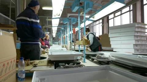 Manual assembly conveyor. Stock Footage 269673809
