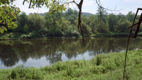 Manual camera shooting from left to right under a tree on the shore of a pond. Stock Footage 115259556