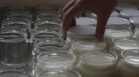 Manual capping in the artisanal process of making organic yogurt Stock Photos