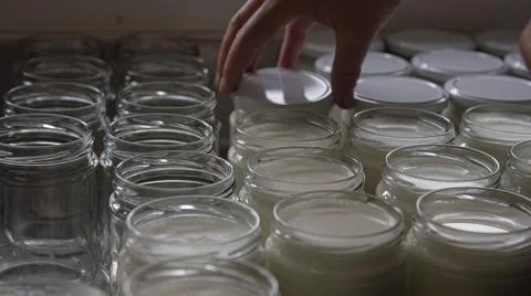 Manual capping in the artisanal process of making organic yogurt Stock Photos