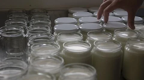 Manual capping in the artisanal process of making organic yogurt Stock Photos