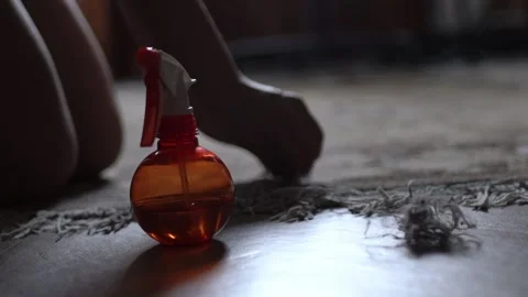 Manual carpet cleaning, dust close-up 4K Видео 186792376