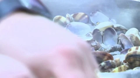 Manual cleaning of clams Stockbeeldmateriaal 81226085