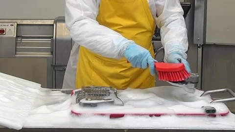 Manual Cleaning Process of Food Preparation Items at a Food Processing Plant Stock Footage 320138005