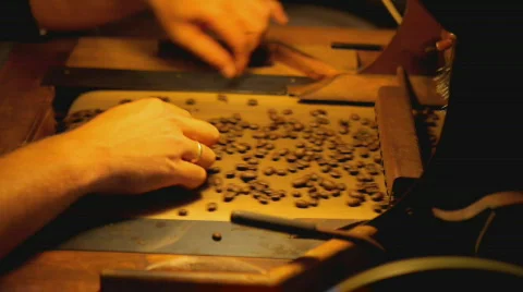 Manual coffee bean selection wide Stock Footage 373943