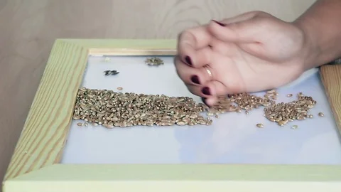 Manual control of the quality of grain Video stock 104384660