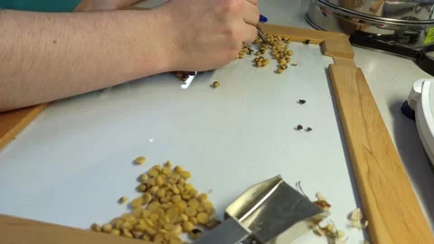 Manual control of the quality of soybeans in the laboratory of the elevator Stock Footage 164365627