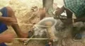 Manual grindstone in Africa HD Footage
