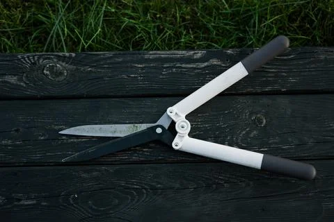 Manual hedge shears rest on a dark wooden garden border Fotos Stock