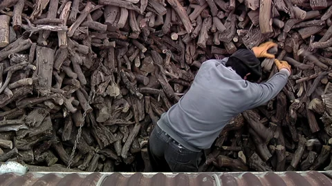 Manual Laborer Loading Wood Logs Onto Freight Train in Patagonia, Argentina - 4K Stock Footage 319834223