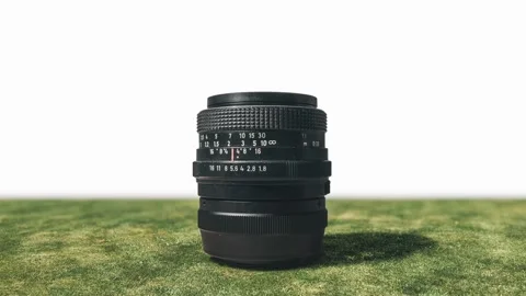 Manual Lens on the Meadow Stock Footage 87297401