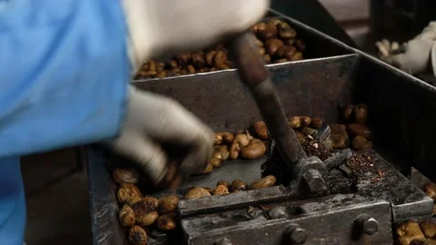 Manual machine to broke the external shell of cashewnut Stock Footage 146708443