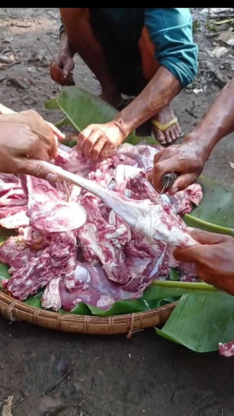 Manual meat cutting Stock Footage 301239290