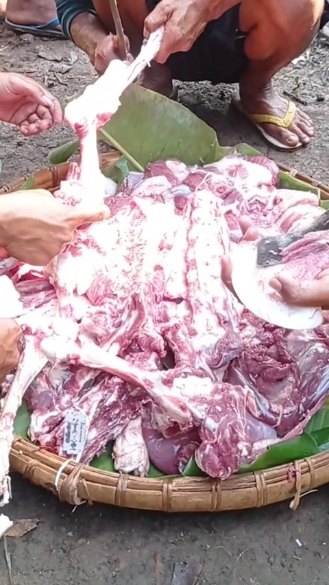 Manual meat cutting Video stock 301239483