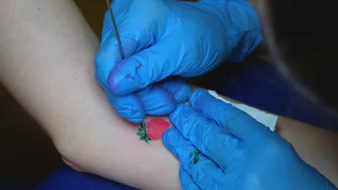 Manual process of stuffing a tattoo. strawberry tattoo. The tattoo artist stuffs Stock Footage 231496252