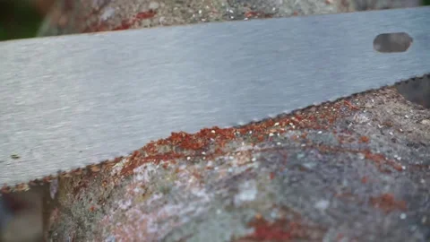 Manual saw blade cutting tree trunk, wood bark and fiber detail, woodworking Stock Footage 346222261
