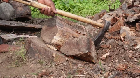 Manual wood splitting by axe Video stock 292053778