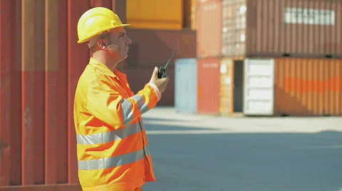Manual worker and cargo containers in shipping facility Video stock 821868