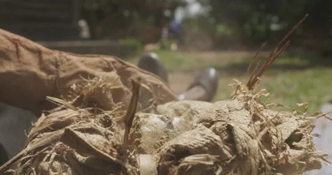 Manual worker using hammer, Kenya Video stock 141442847