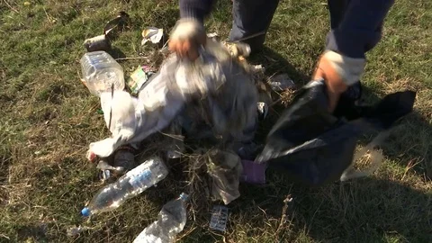 Manually collecting garbage from a field Stock Footage 82698027
